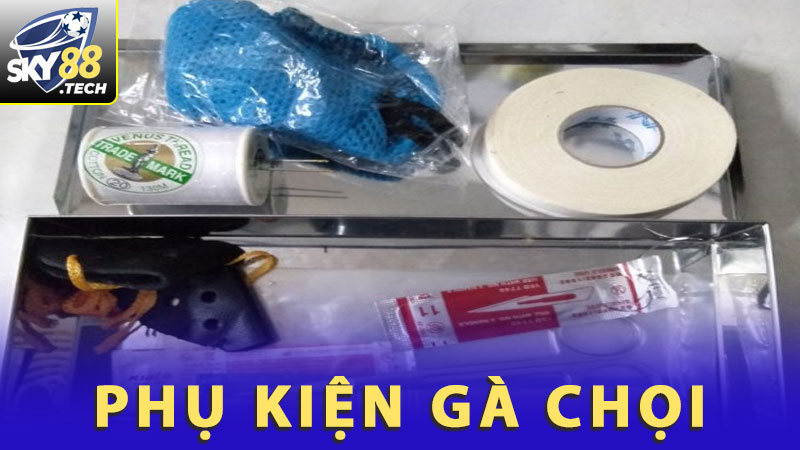 Chọn Phụ Kiện Gà Chọi Chất Lượng - Nâng Tầm Chiến Kê Của Bạn