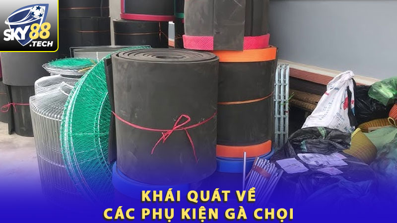 Khái quát về các phụ kiện gà chọi