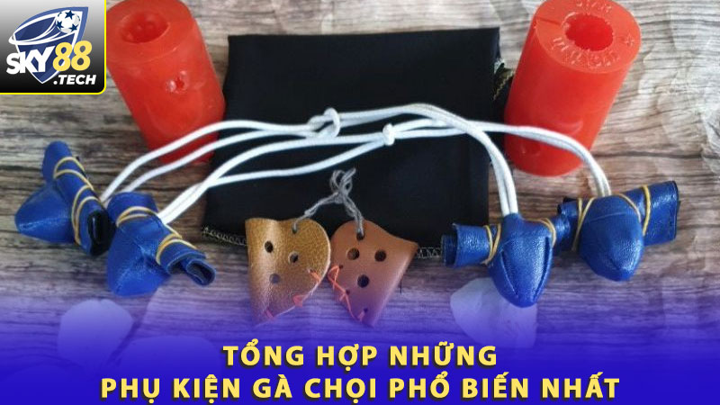 Tổng hợp những phụ kiện gà chọi phổ biến nhất