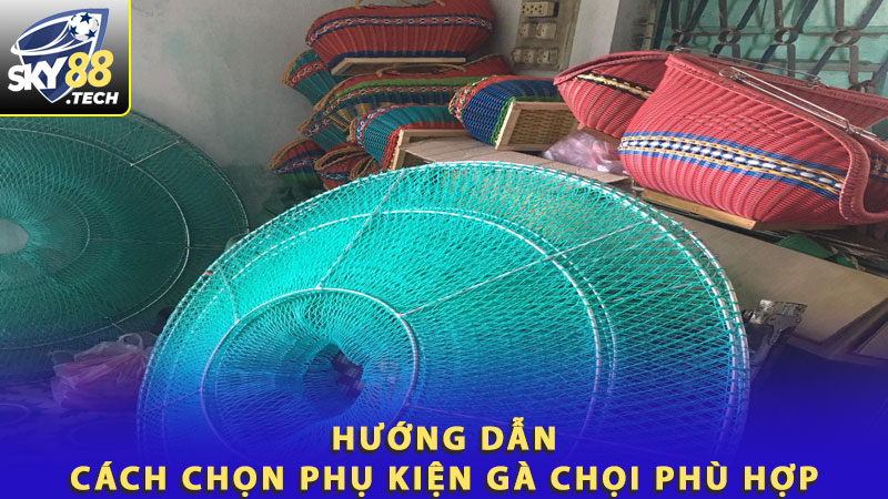 Hướng dẫn cách chọn phụ kiện gà chọi phù hợp